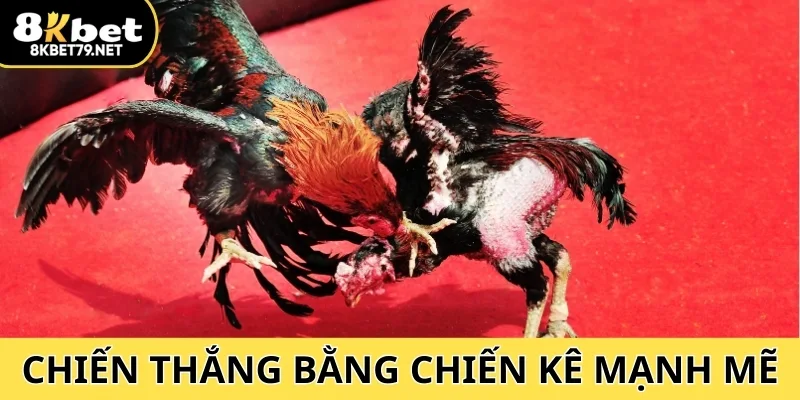 Chiến thắng bằng chiến kê mạnh mẽ, hiểu rõ quy tắc và chọn nhà cái uy tín.