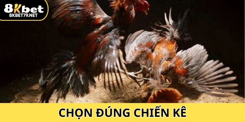 Chọn đúng chiến kê là chìa khóa để lật ngược thế cờ trong mỗi trận đấu