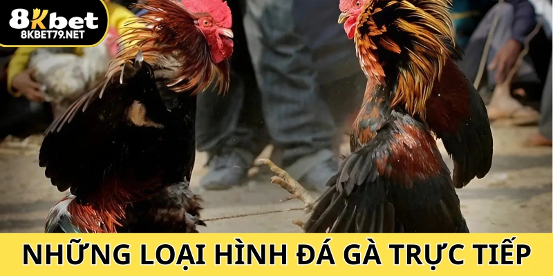 Đa dạng hình thức cho người xem lựa chọn