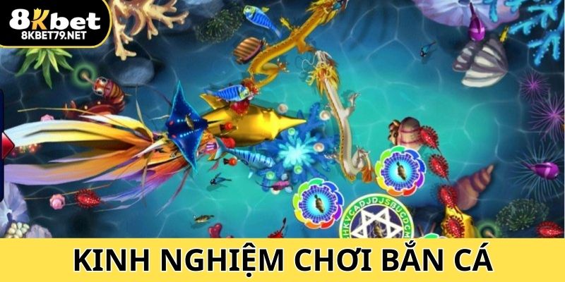 Kinh nghiệm nhận thưởng khi tham gia khám phá đại dương