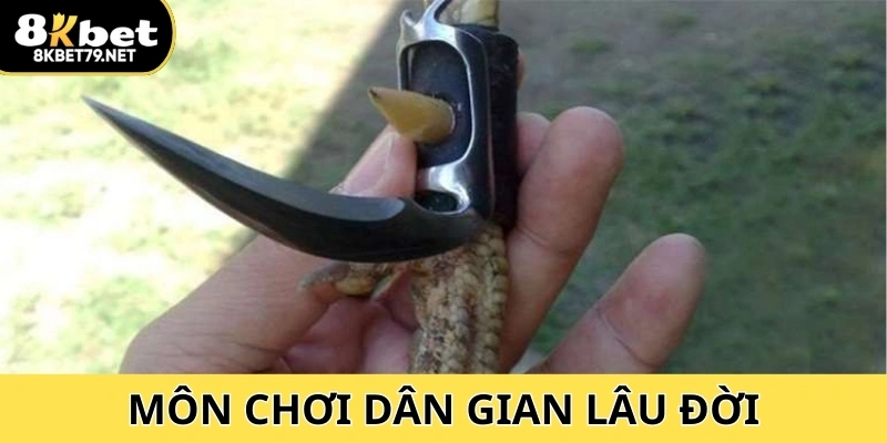 Môn chơi dân gian lâu đời nay thêm kịch tính với biến thể đá gà cựa dao